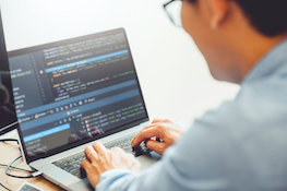 Web Development and Digital Platforms